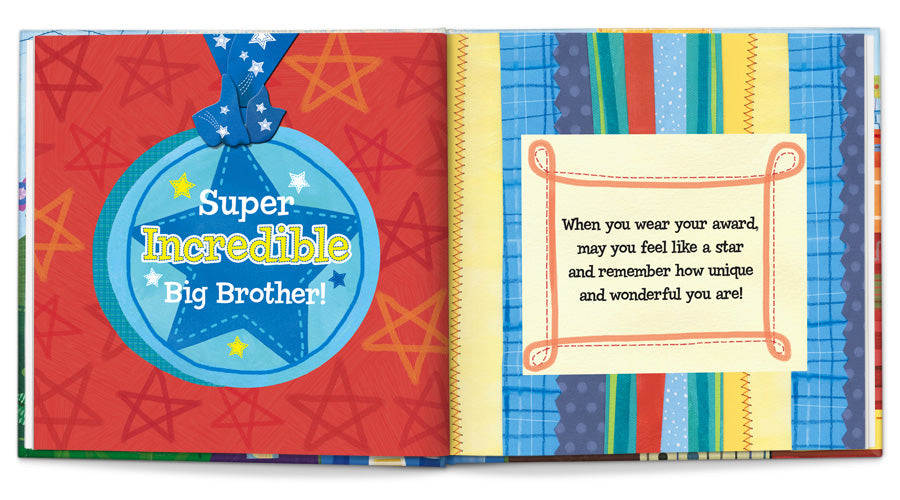 the super incredible big brother book