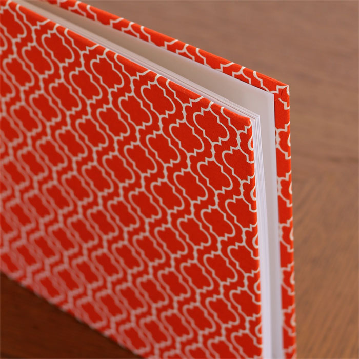 baby's first book - paprika by rag & bone