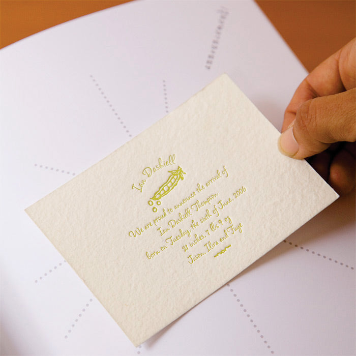 baby's first book - pink lion by rag & bone bindery