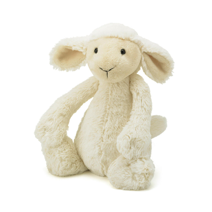 If I were an Lamb Touch and Feel Board Book