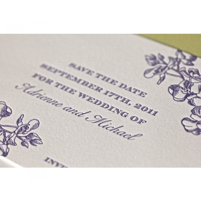 adrienne & michael save the date card