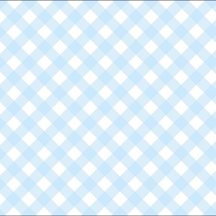 baby blue gingham baby showers