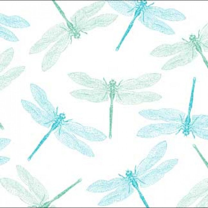 dragonfly moving card