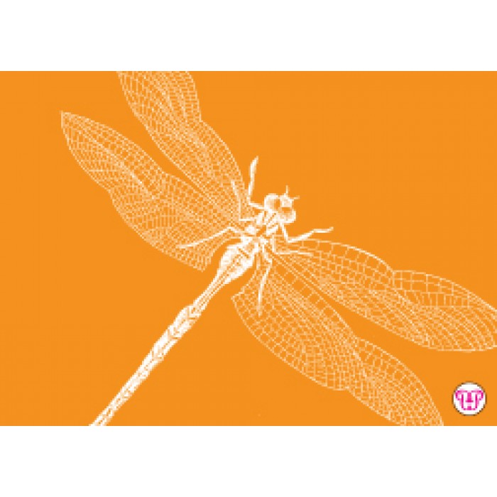 dragonfly enclosure card