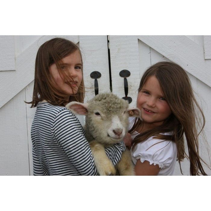 fleece holiday card