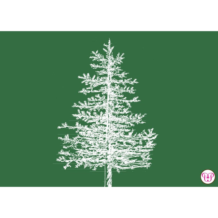 forest tree enclosure card