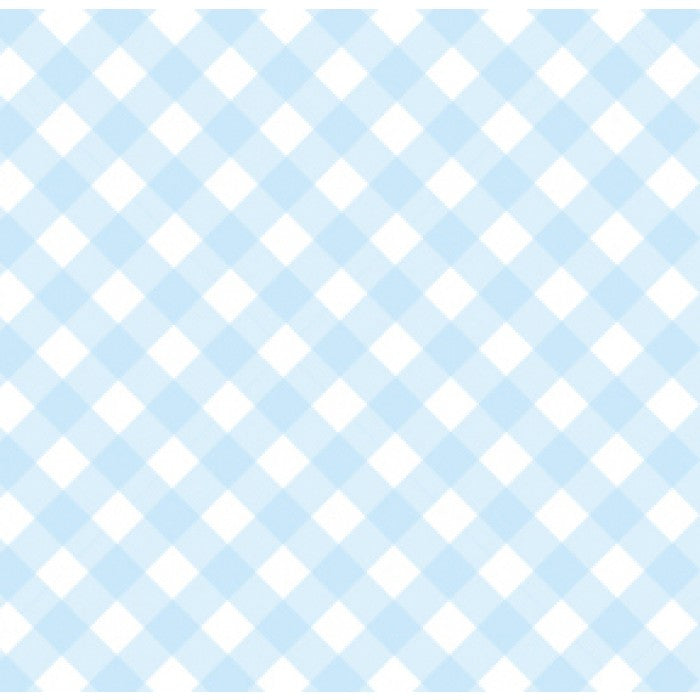 flat print baby announcement - gingham blue
