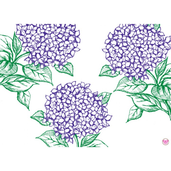 hydrangea cocktail & dinner parties