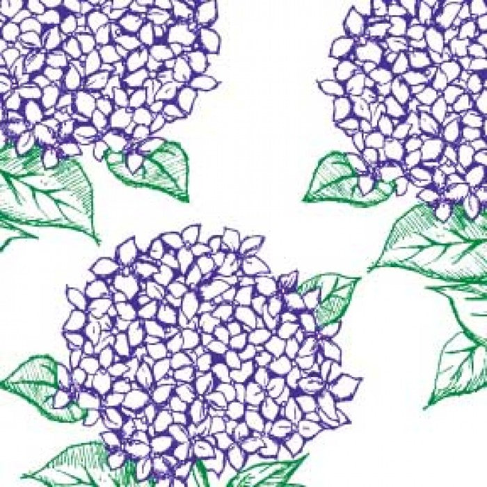hydrangea cocktail & dinner parties