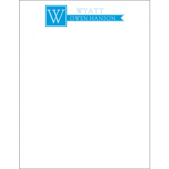 flat print baby announcement - window panes blue