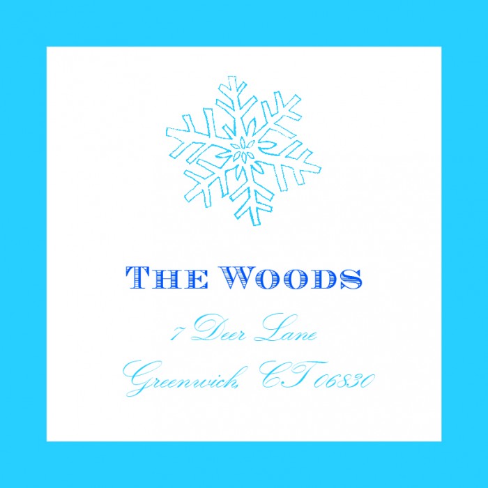 simple snowflake blue holiday cards