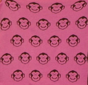 personalized monkey blanket