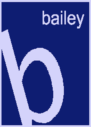 personalized slanted large letter blanket