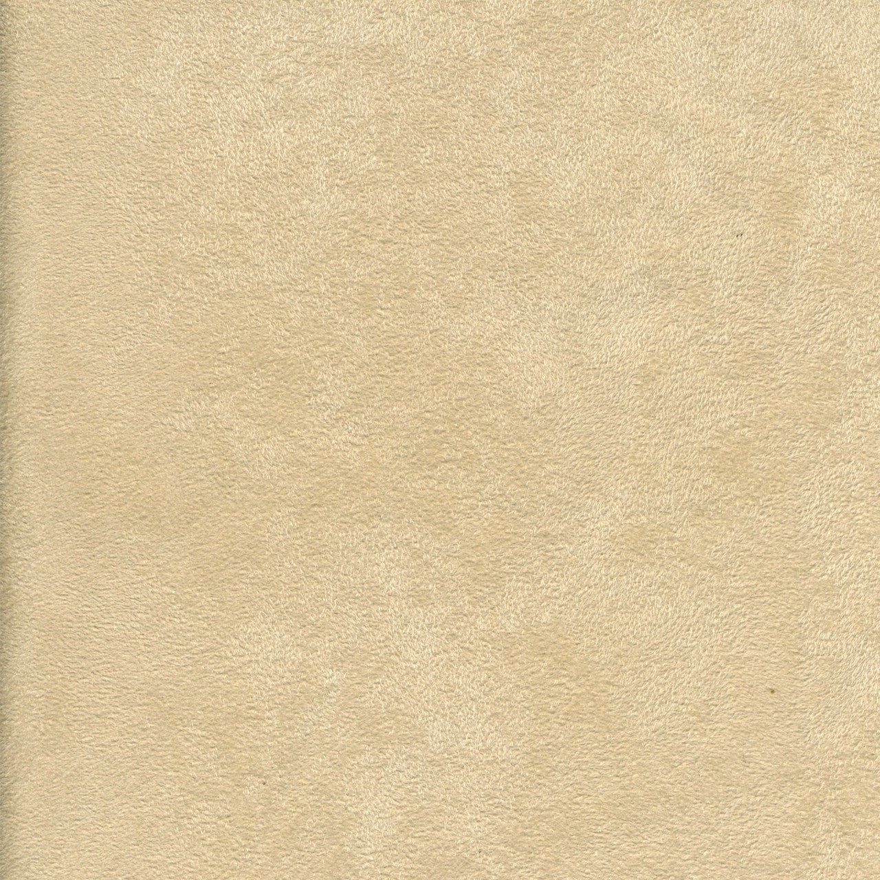 arizona/cream fabric by the yard 0523