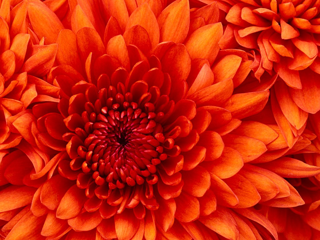 Test 1