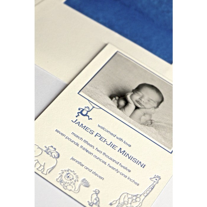 letterpress monkey baby announcement - james