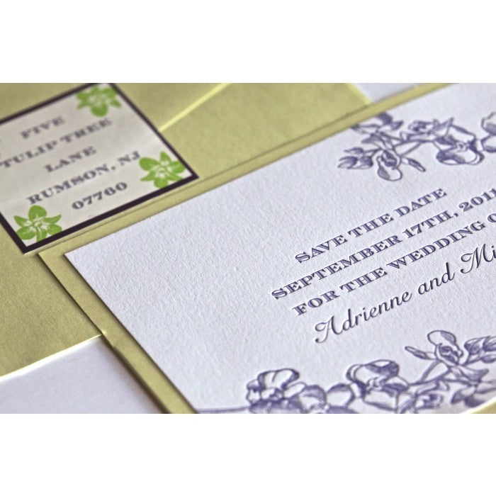 adrienne & michael save the date card
