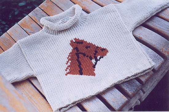 little horse cotton sweater