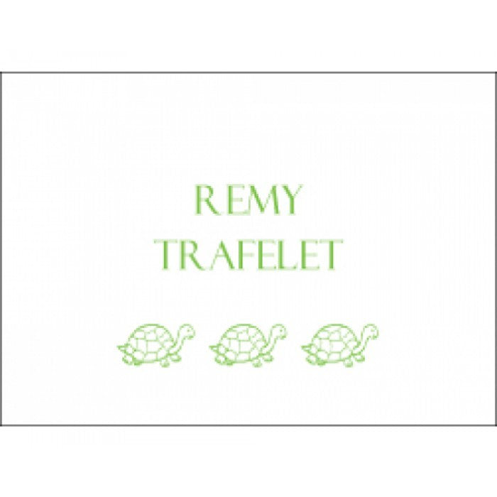 children's gift enclosures - turtle