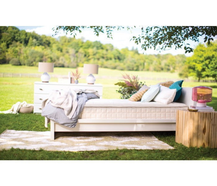 naturepedic chorus organic mattress