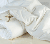 windowpane check (primel and aralie) crib bedding
