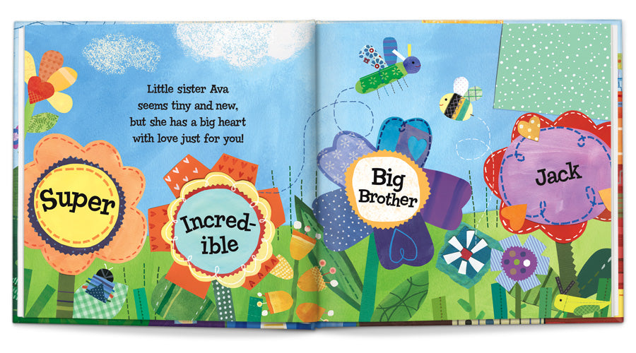 the super incredible big brother book
