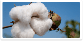 essentials organic luxury mattress