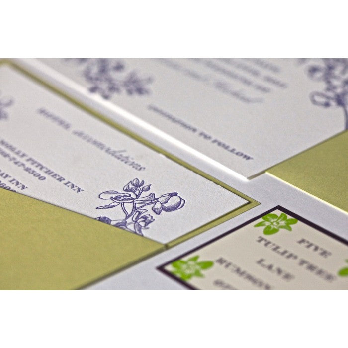 adrienne & michael save the date card
