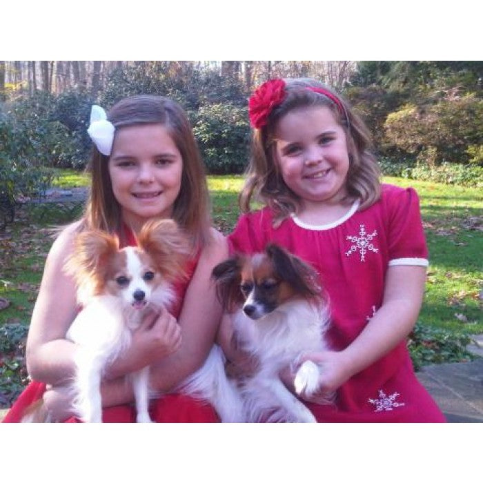 dixie & skip holiday card