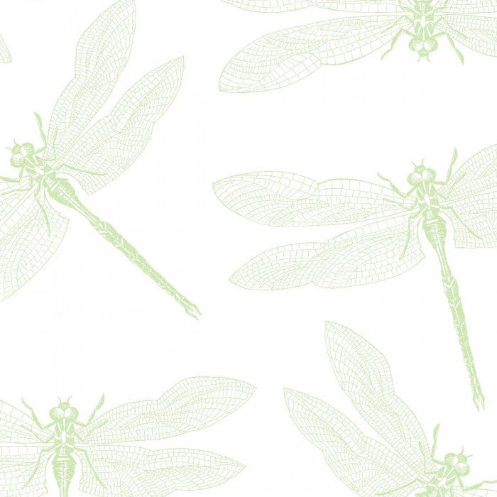dragonfly away cocktail & dinner parties