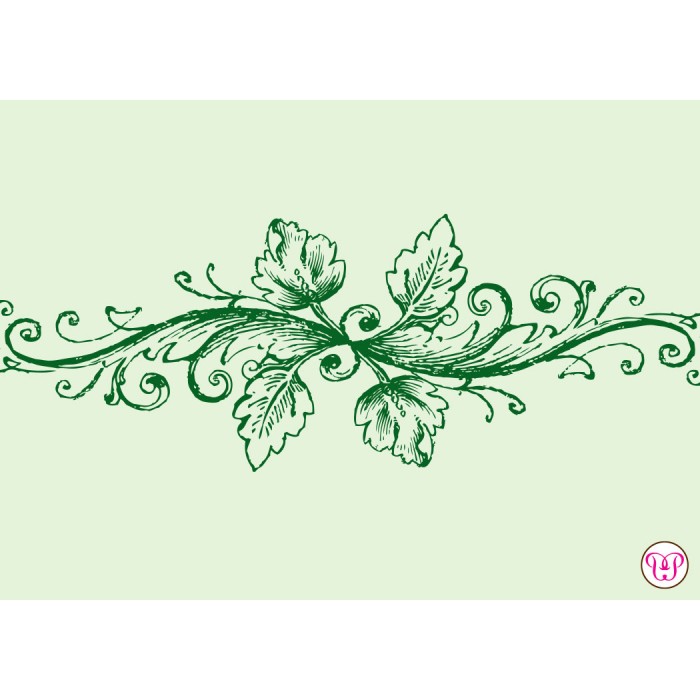 dressed with ivy enclosure card