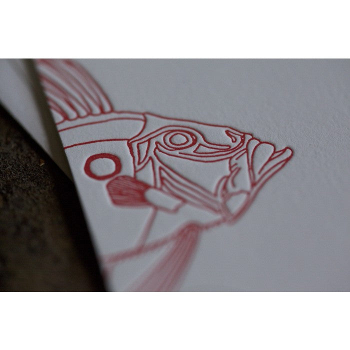 fish note cards