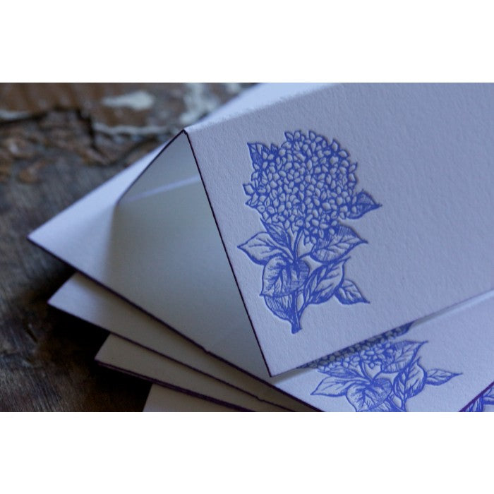 hydrangea gift enclosures