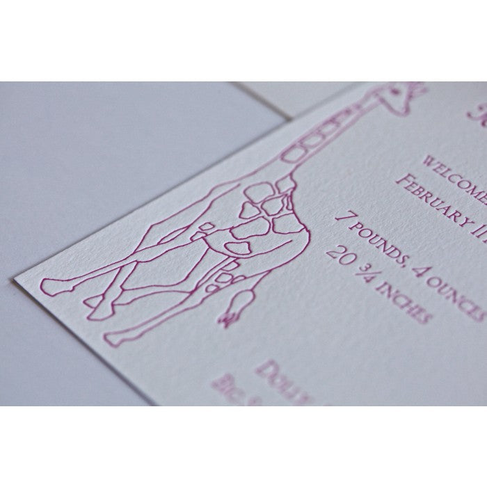 letterpress giraffe baby announcement - hilary baby