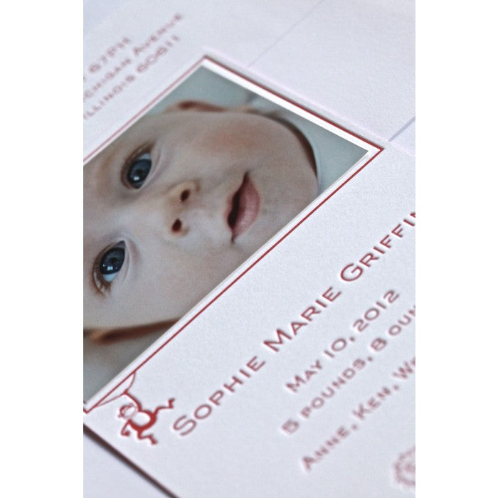 letterpress giraffe baby announcement - sophie