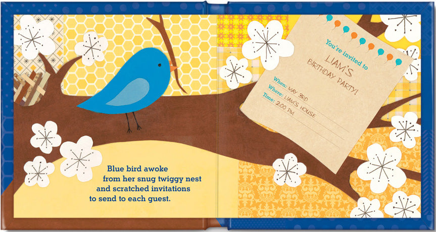 my very happy birthday book (boy)