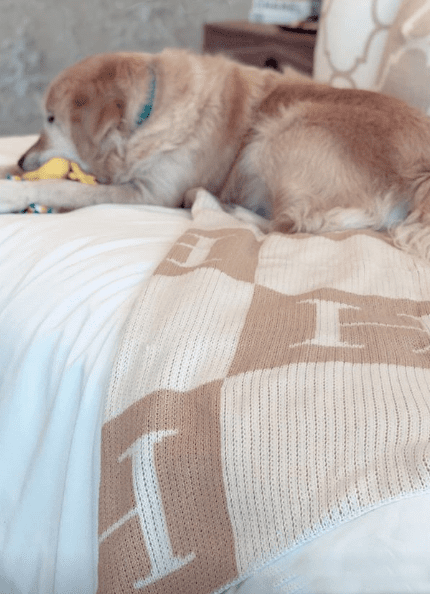 personalized blanket with colorblock initials