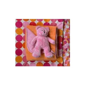 teddy bear and matching blanket
