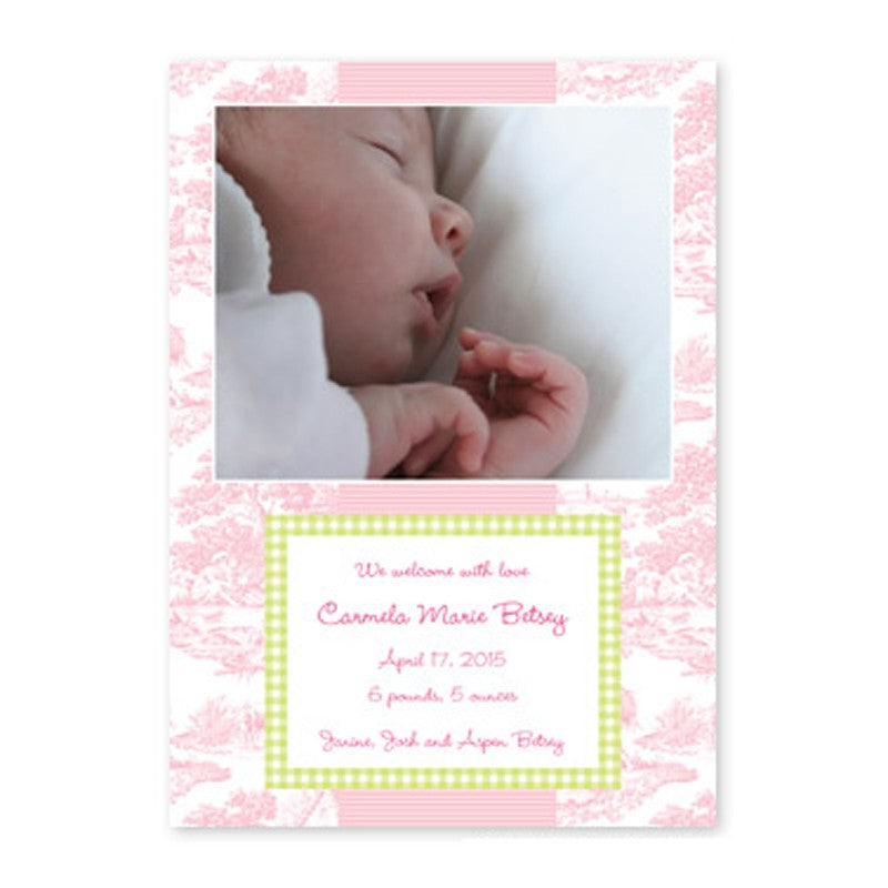boatman geller toile pink with lime check photocard