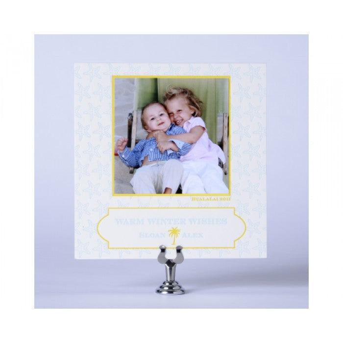 winter starfish holiday card