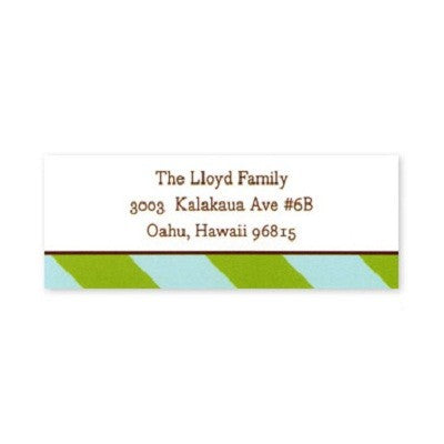 boatman geller aqua & olive stripes address labels