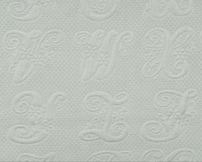 script/spa blue fabric