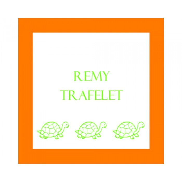 turtle gifts stickers