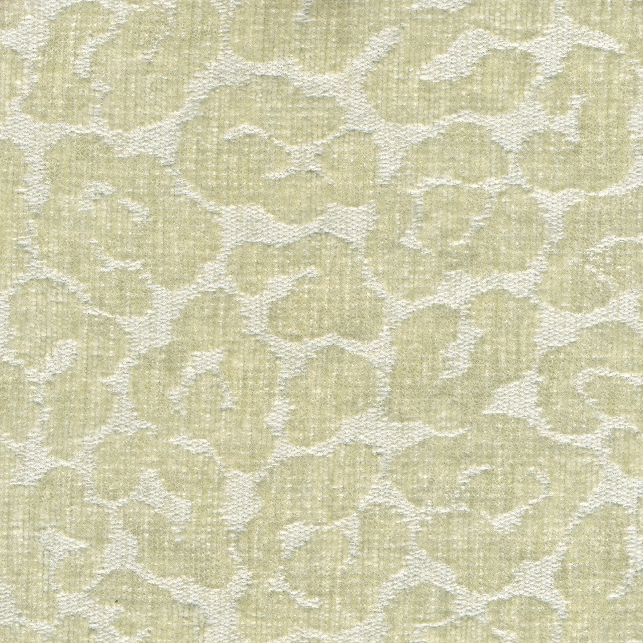 Jane Ivory Fabric