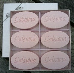 Signature Spa INSPIRE Soaps, Satsuma (Set of Six)