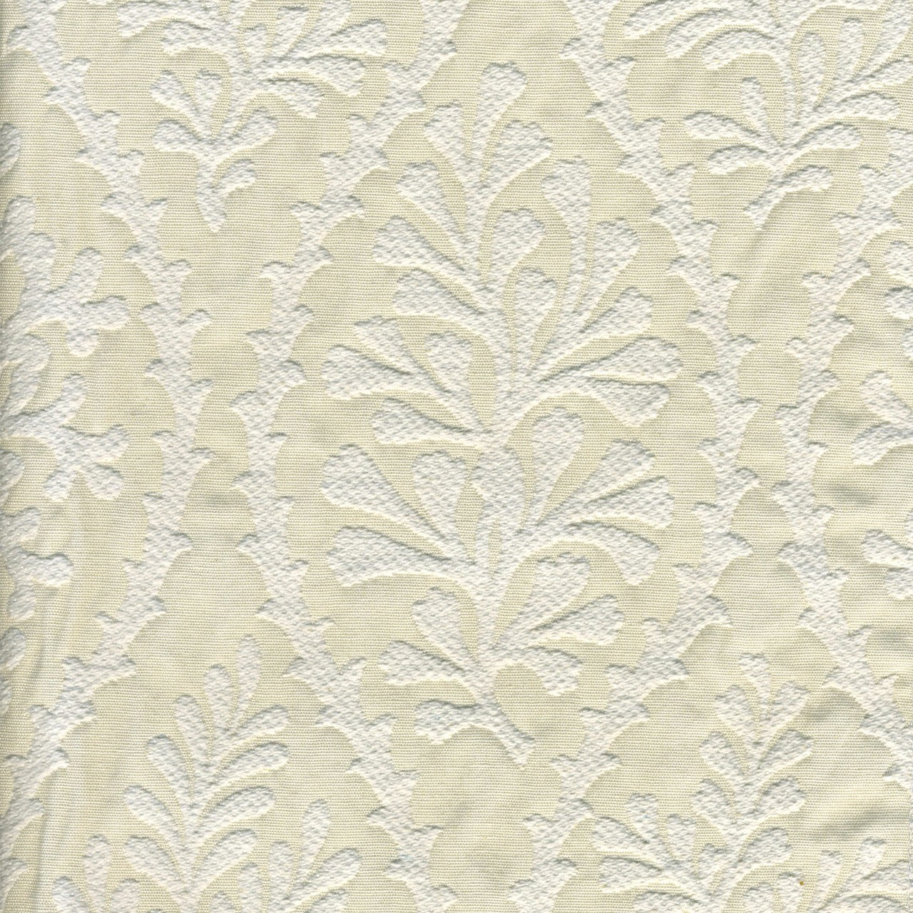 Coconut Fabric