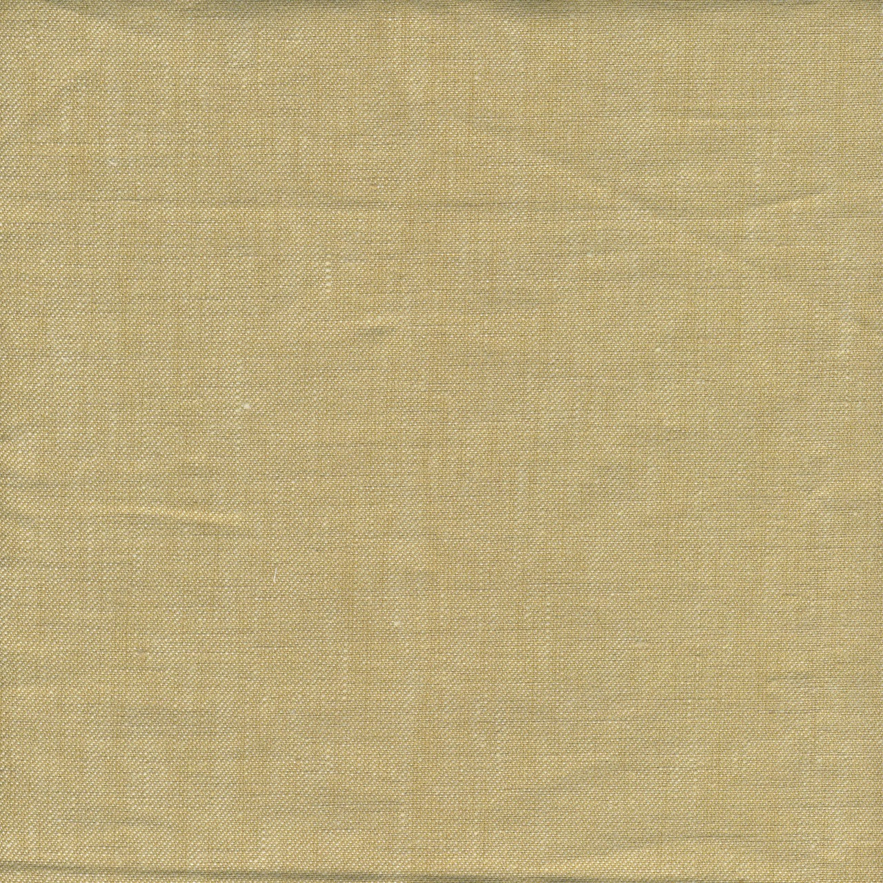 Gold Dust Fabric